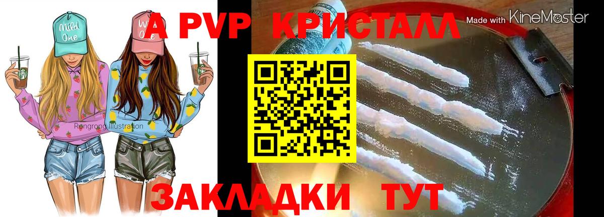 Железноводск  А ПВП крисы CK  A PVP СК КРИС  А ПВП  Вход с VPN  Альфа ПВП СК 