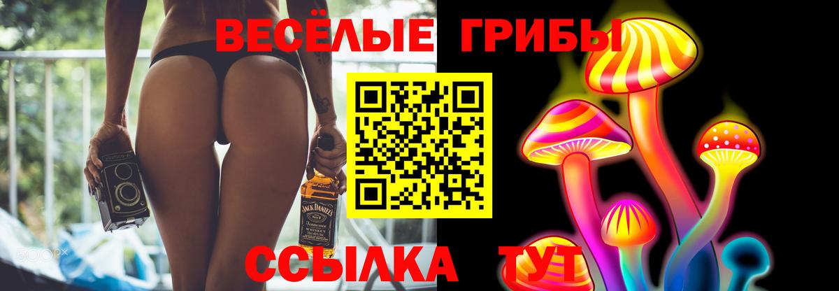 Железноводск  Галлюциногенные грибы ЛСД  Вход с VPN 